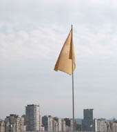 flag2v